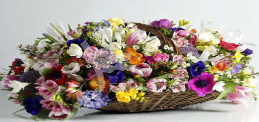 Acquistare dei fiori online e farli recapitare a domicilio con pochi click